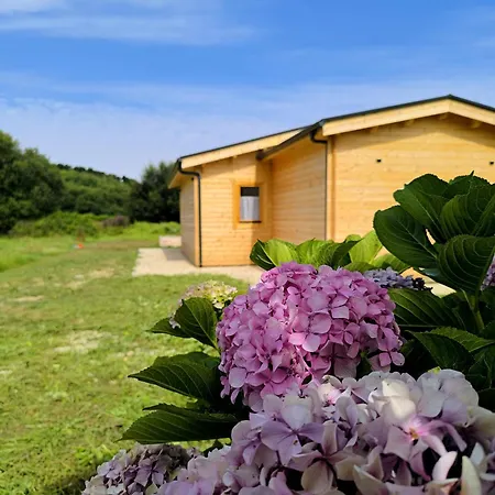 De Madera Mar Y Madera, Playa De Catedrales *